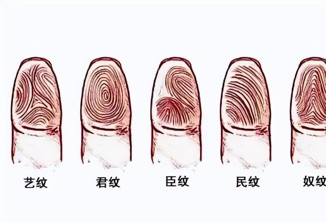 指纹算命9个螺纹是不是好命